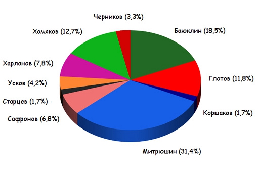 Итоги виртуальных интернет-выборов руководителя города Видное