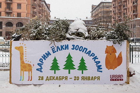 В Видном работает пункт сбора новогодних елок, которые после переработки пойдут на корм животным