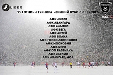 В Видном пройдёт футбольный турнир «Зимний кубок Liber 2017»