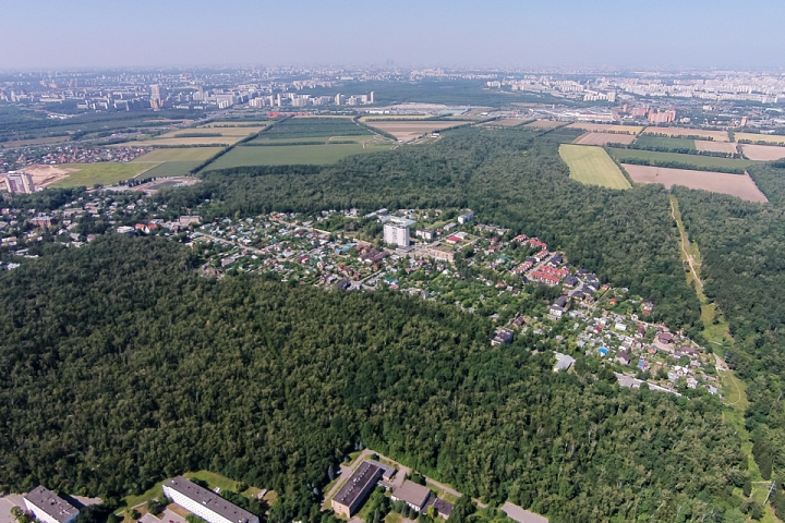 Лес между совхозом имени Ленина, видновской промзоной и городом Видное стал муниципальным