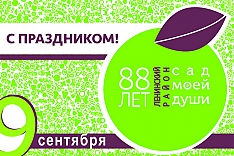 Программа праздничных мероприятий, посвященных Дню города Видное и Ленинского района