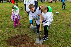 22 сентября в Видном и Ленинском районе состоится масштабная акция по посадке деревьев «Наш лес. Посади свое дерево»