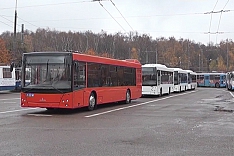 Видновский троллейбус ликвидируют? Руководство троллейбусного парка закупает автобусы